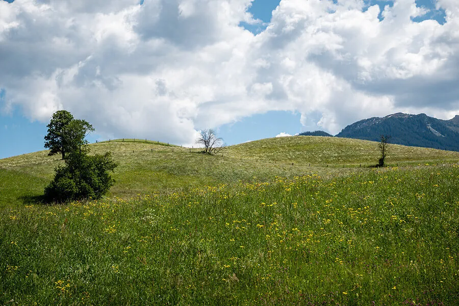 Privatklinik Ritzensee ⚕️ Spitzenmedizin im Salzburger Land